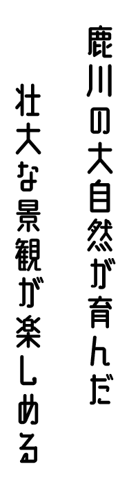 鹿川の大自然が育んだ、壮大な自然が楽しめるキャンプ場。